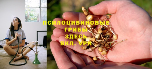 спайс Аркадак